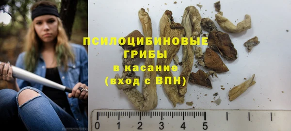 2c-b Михайловск